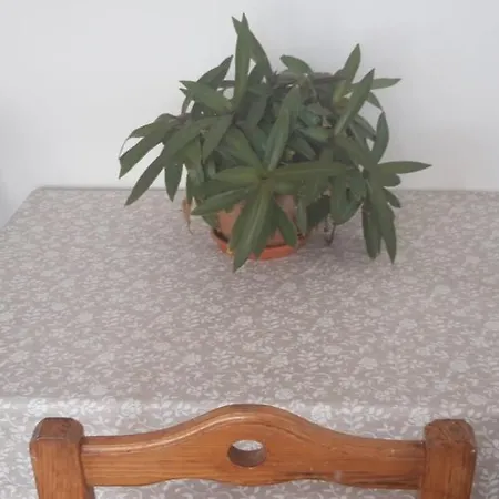 Séjour chez l'habitant Casa Mary *